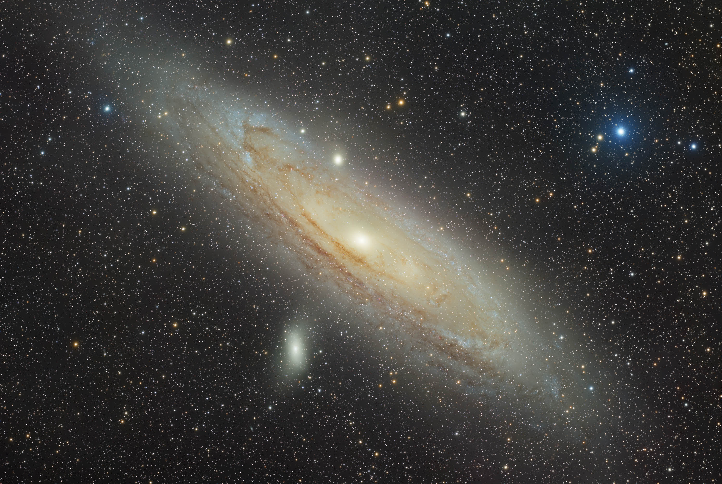 M31