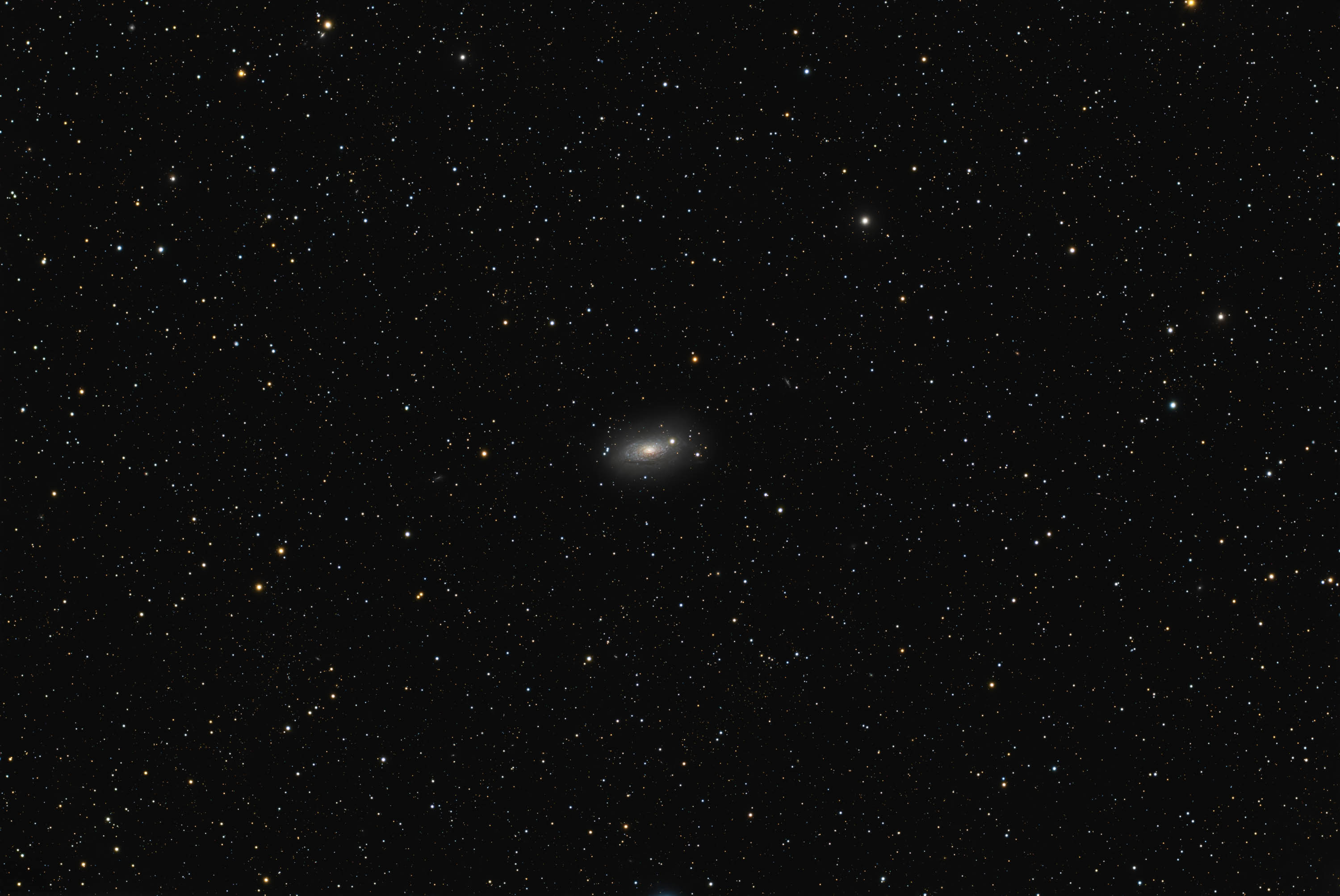 M63