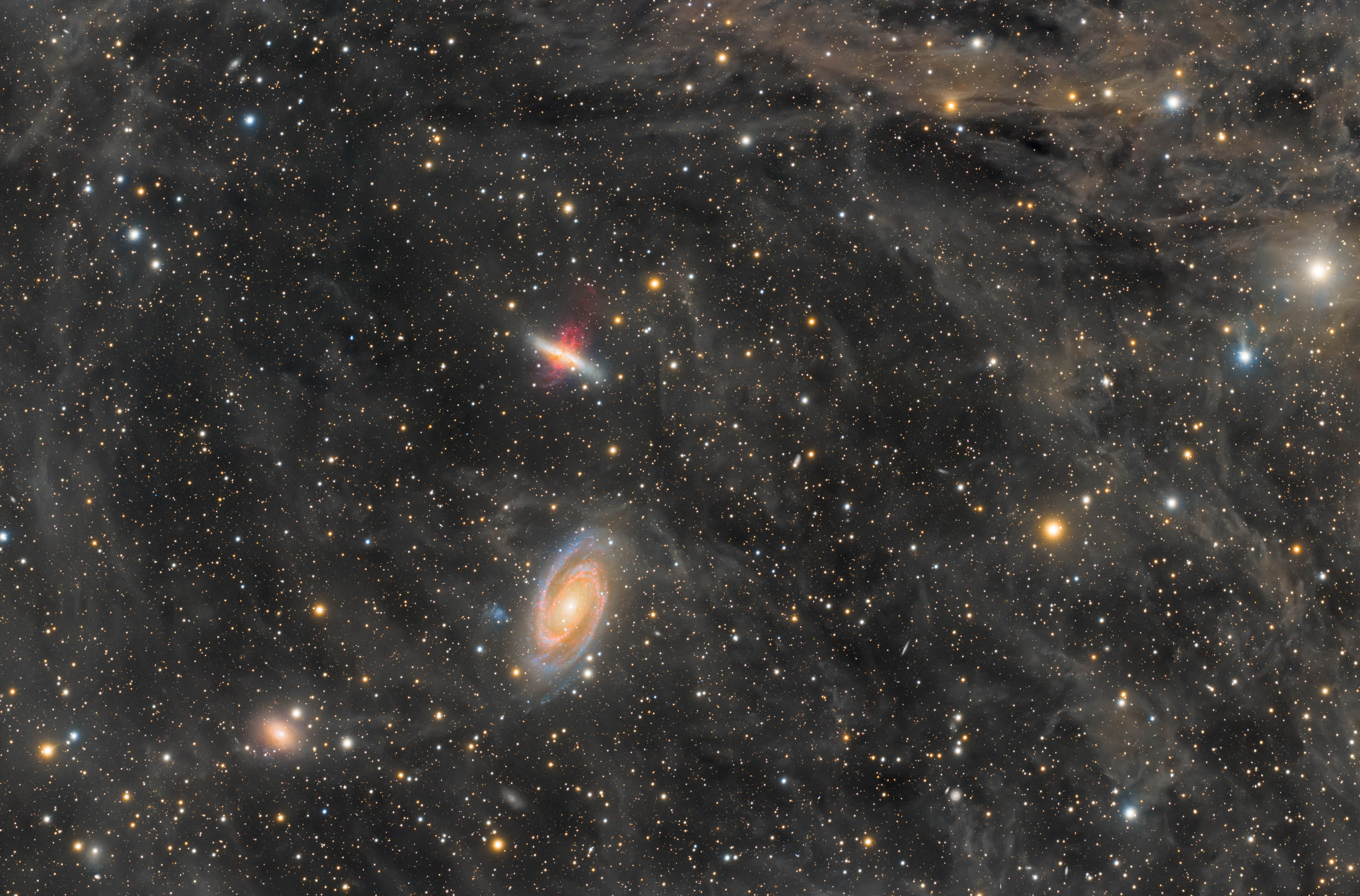 M81, M82 und IFN