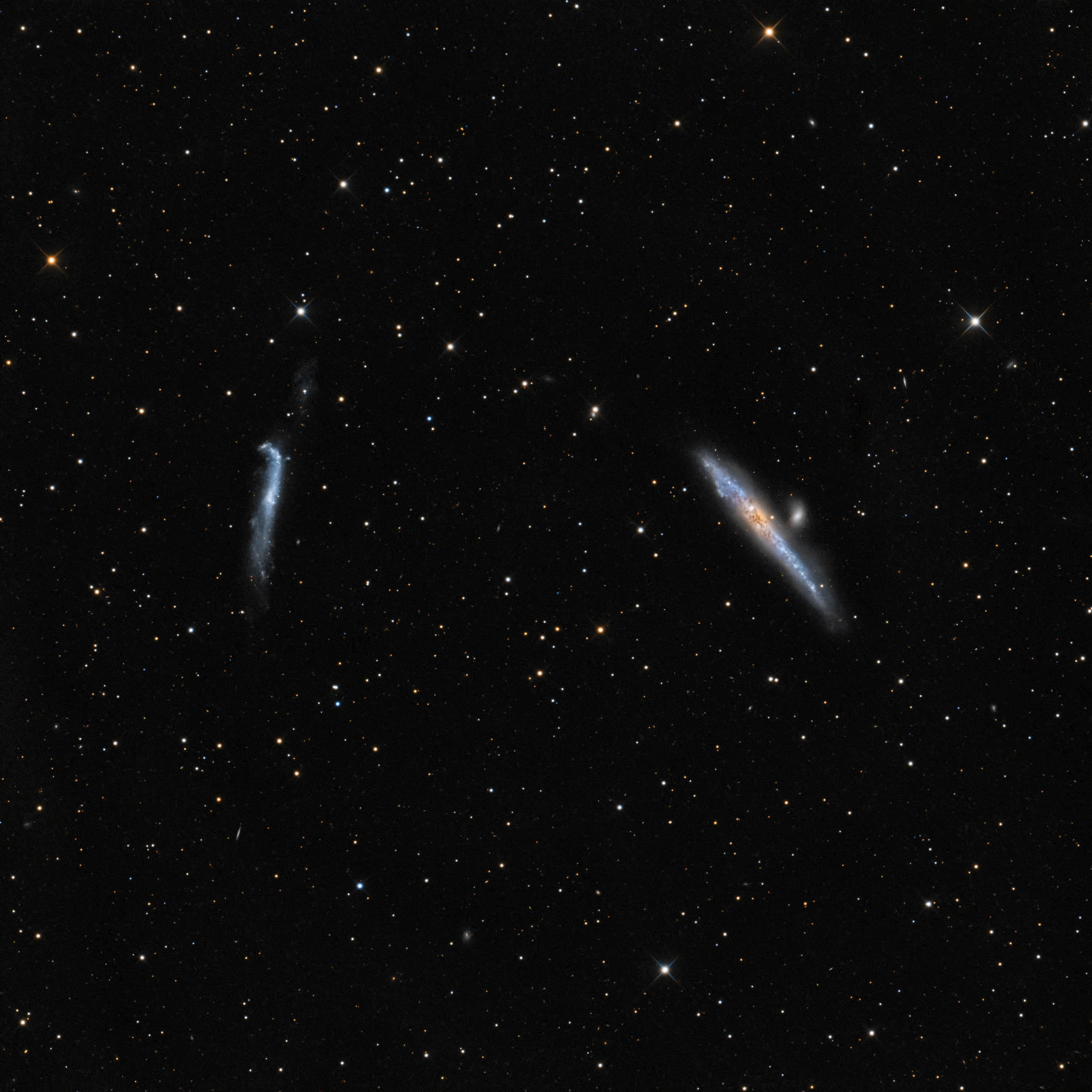 Wal-und Hockeystick Galaxien