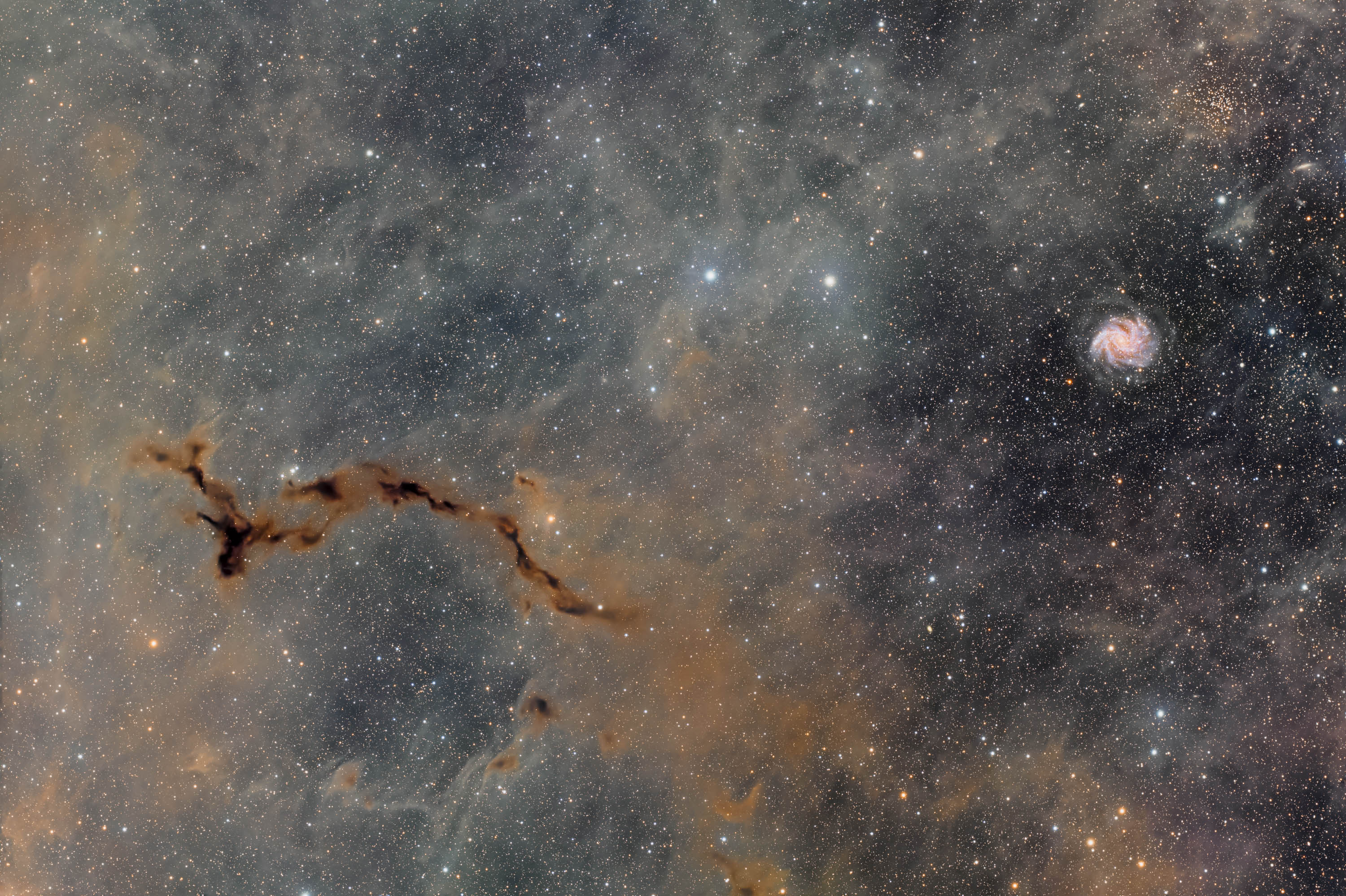 Banard 150 und NGC6946
