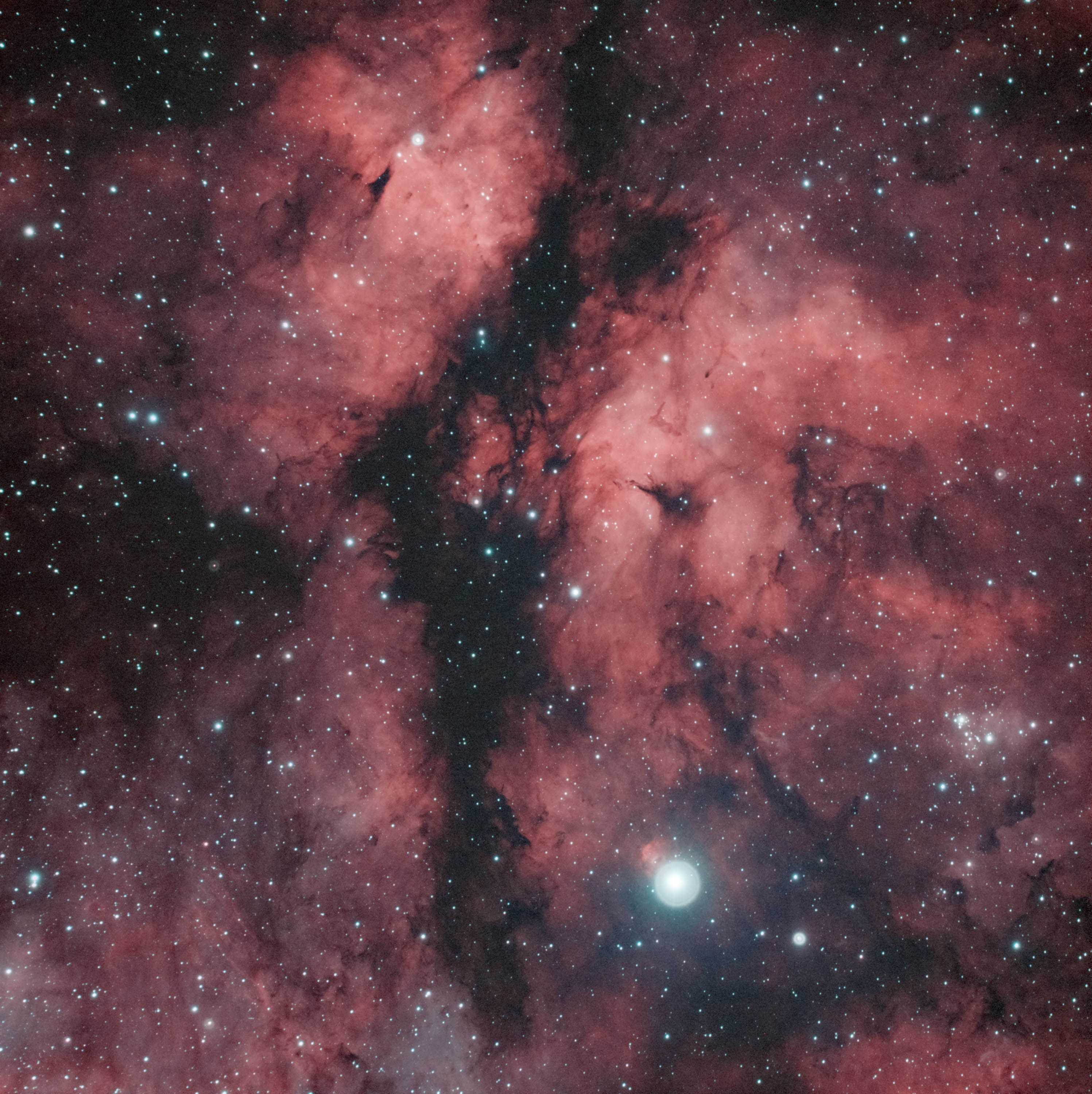 IC1318