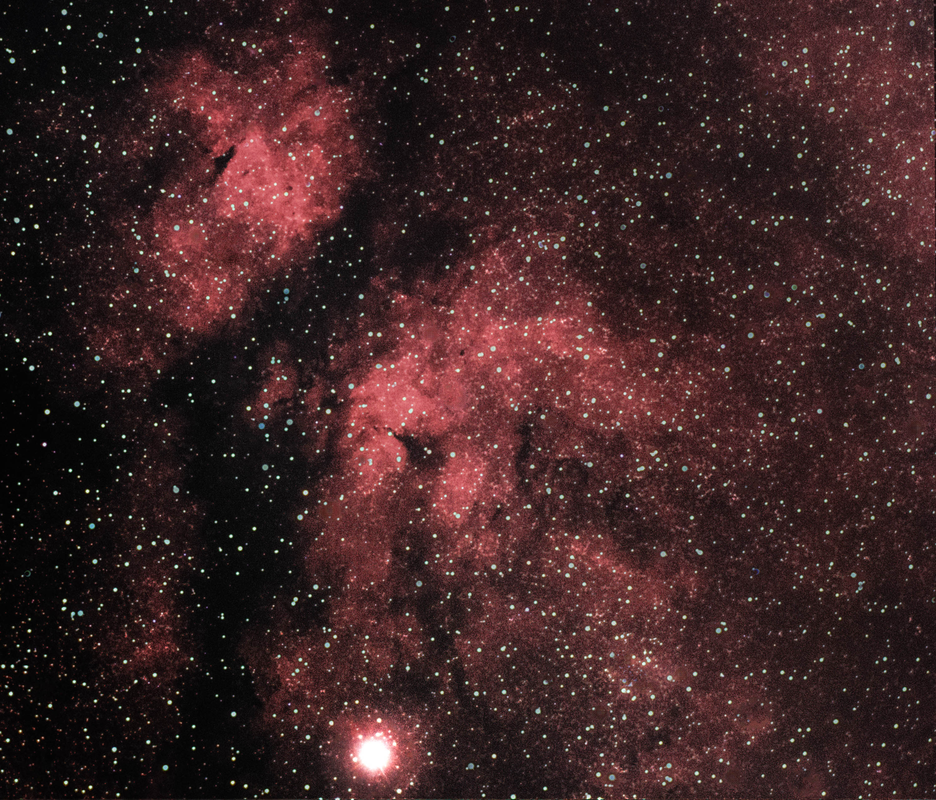 IC1318
