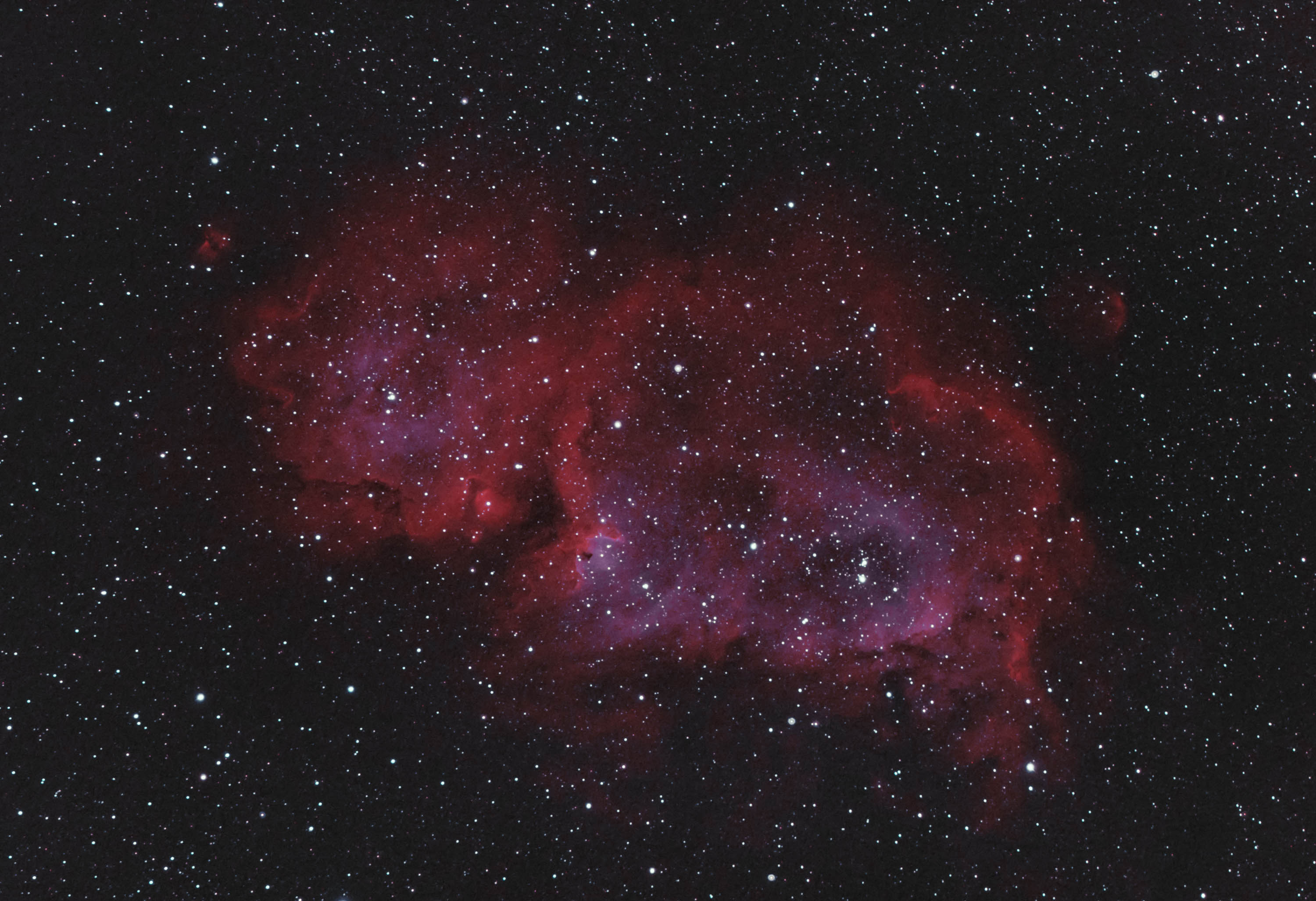 IC1848