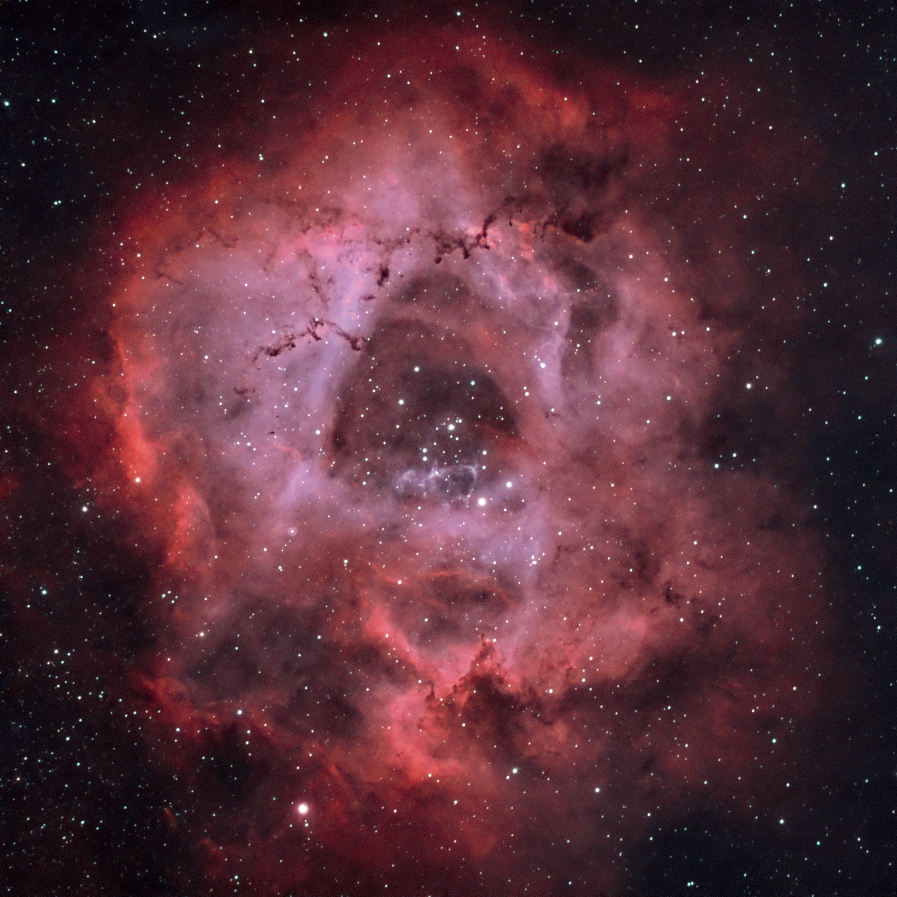 NGC2244