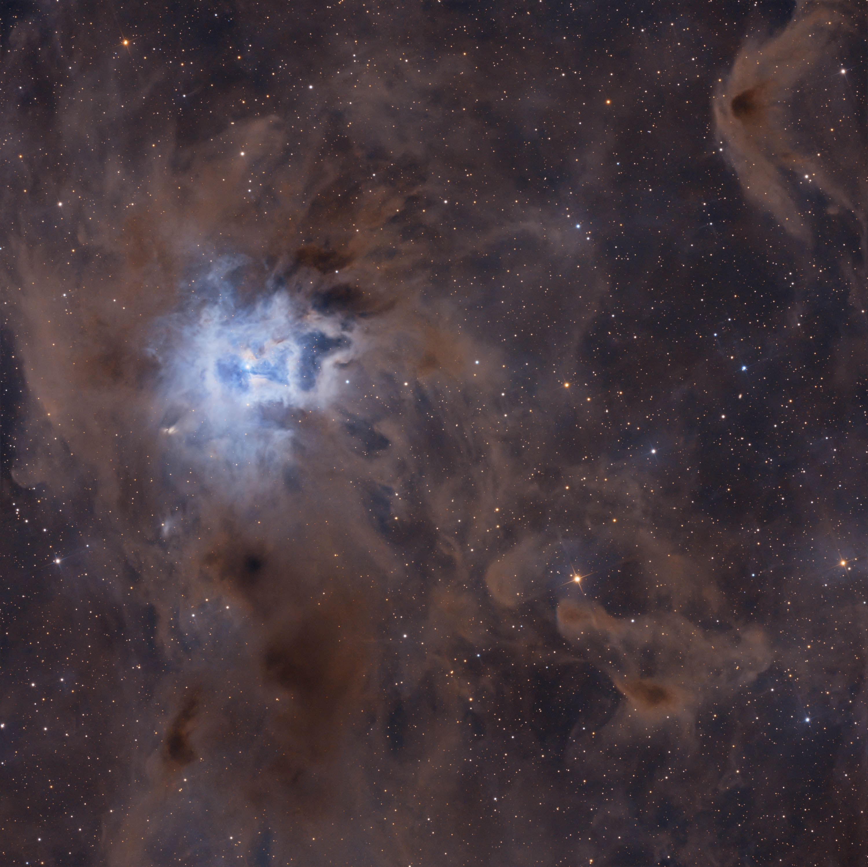 NGC7023 der Irisnebel